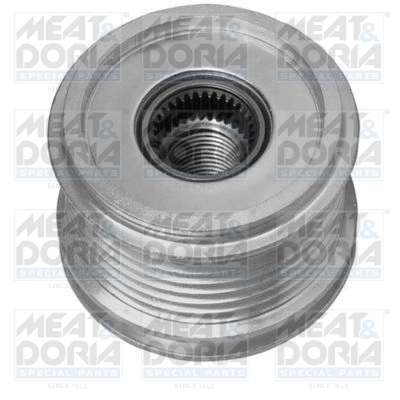 Alternator Freewheel Clutch